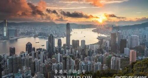 老版森林舞会游戏攻略-老版森林舞会游戏，策略与技巧的深度剖析
